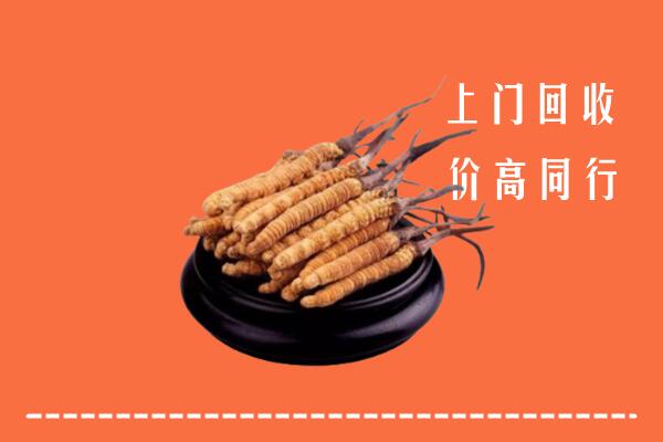 高价求购：明光市回收散虫草