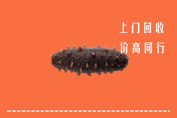 高价求购：明光市回收海参