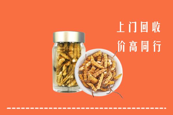 明光市高价回收冬虫夏草